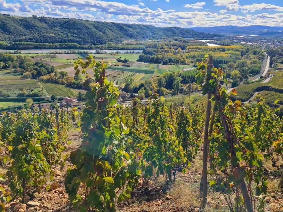 Gite De 70M² Avec Vue Sur Le Massif Du Pilat Clonas-sur-Vareze Buitenkant foto