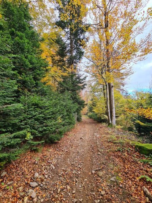 Gite De 70M² Avec Vue Sur Le Massif Du Pilat Clonas-sur-Vareze Buitenkant foto