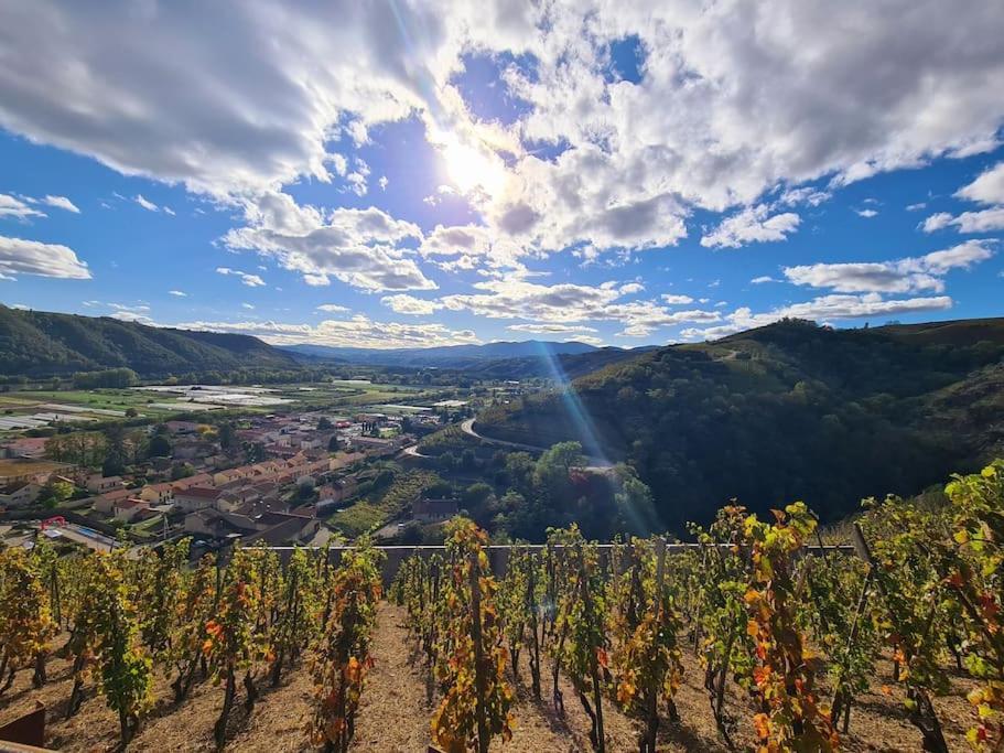 Gite De 70M² Avec Vue Sur Le Massif Du Pilat Clonas-sur-Vareze Buitenkant foto