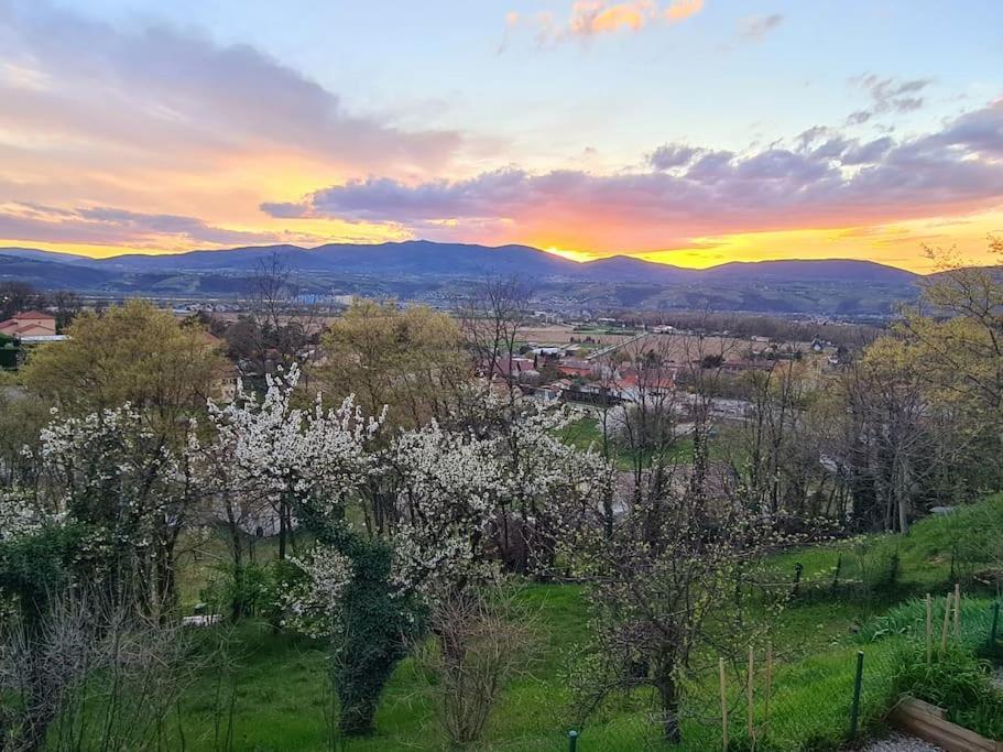 Gite De 70M² Avec Vue Sur Le Massif Du Pilat Clonas-sur-Vareze Buitenkant foto