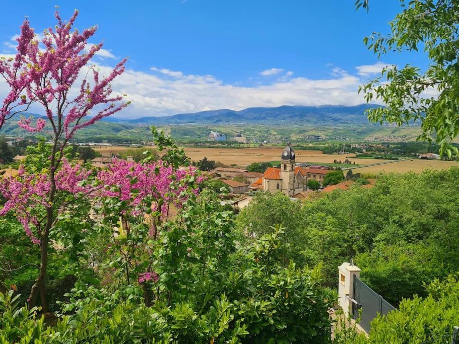 Gite De 70M² Avec Vue Sur Le Massif Du Pilat Clonas-sur-Vareze Buitenkant foto